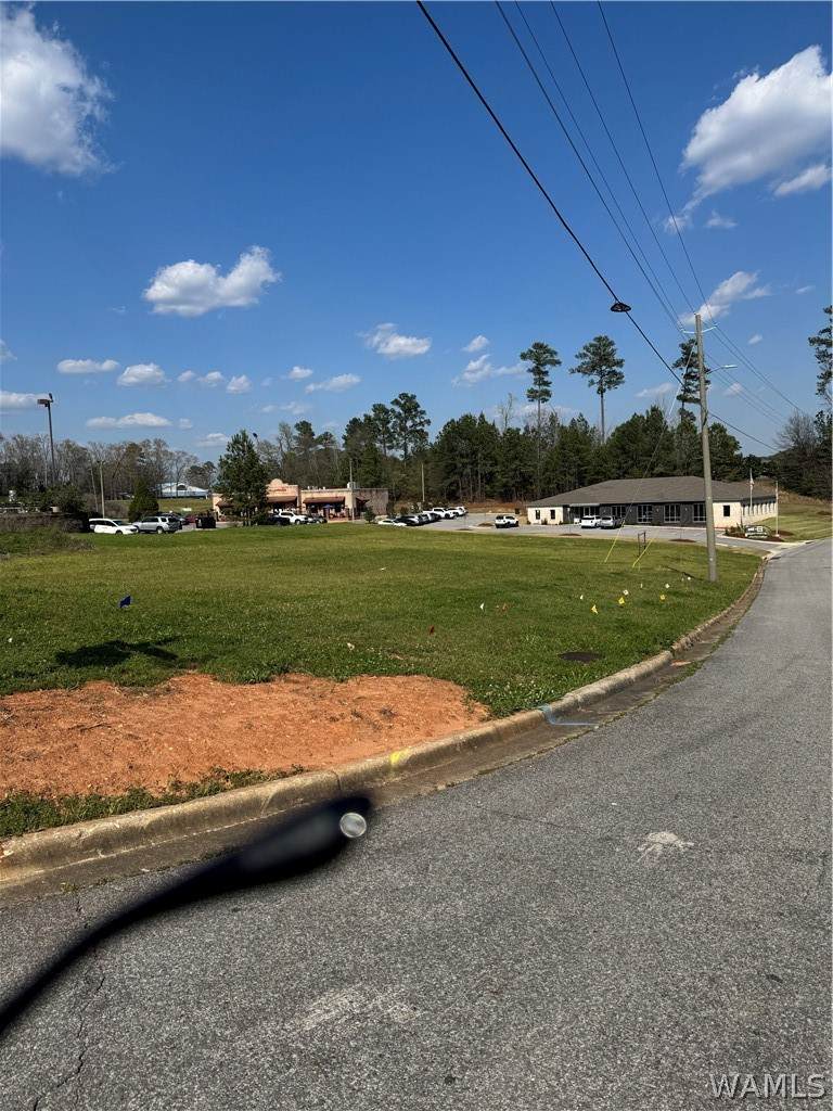 1810 Commons North Drive - Photo 1