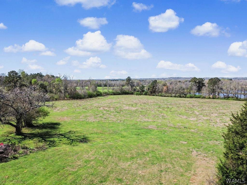 11526 Sipsey Valley Road N - Photo 1