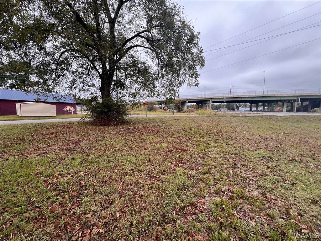 1615 Ty Rogers Jr Ave - Photo 1