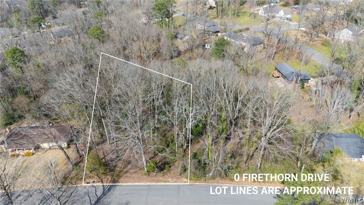 00- Woodland Road - Photo 1