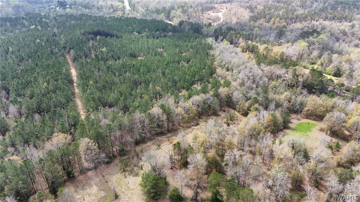 0 Billy Bigham Road - Photo 1