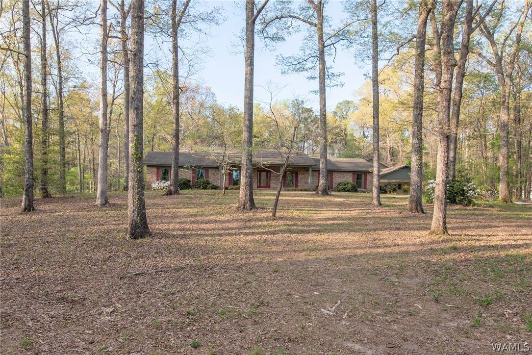 https://bt-photos.global.ssl.fastly.net/tuscaloosa/orig_boomver_1_174283-2.jpg