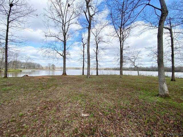 https://bt-photos.global.ssl.fastly.net/tuscaloosa/orig_boomver_1_174292-2.jpg