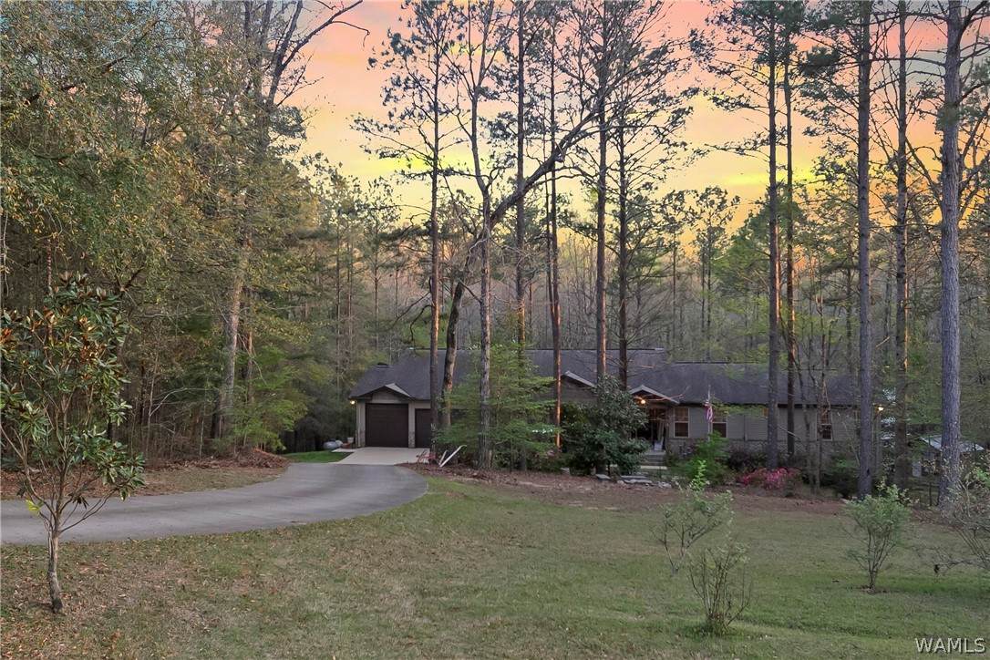 12318 Hidden Falls Drive - Photo 1