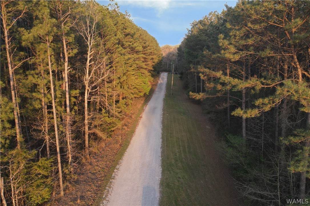 https://bt-photos.global.ssl.fastly.net/tuscaloosa/orig_boomver_1_174309-2.jpg