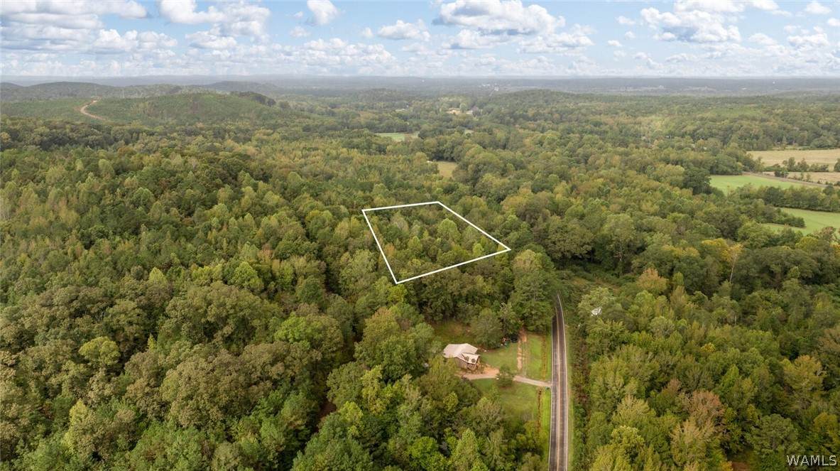 0 County Road 26 - Photo 1