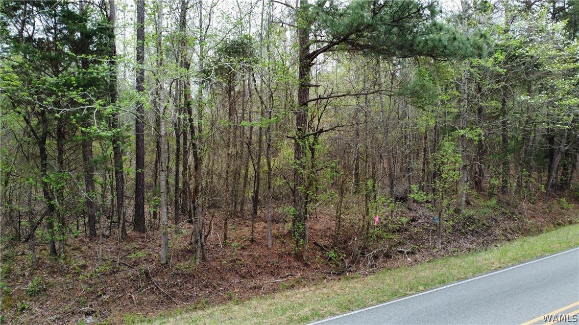 https://bt-photos.global.ssl.fastly.net/tuscaloosa/orig_boomver_1_174346-2.jpg