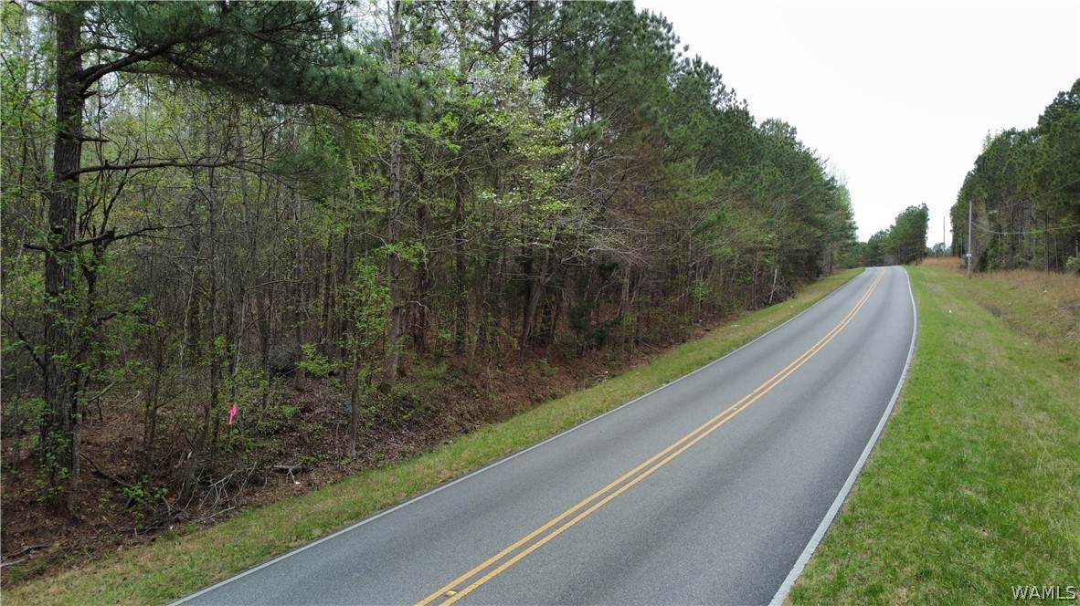 https://bt-photos.global.ssl.fastly.net/tuscaloosa/orig_boomver_1_174346-2.jpg