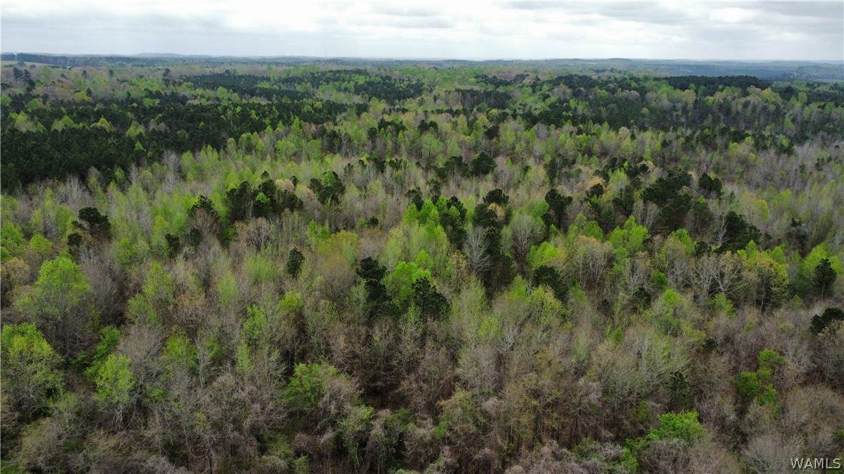 3 County Highway 42 - Photo 1
