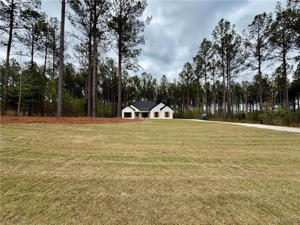 https://bt-photos.global.ssl.fastly.net/tuscaloosa/orig_boomver_1_174369-2.jpg
