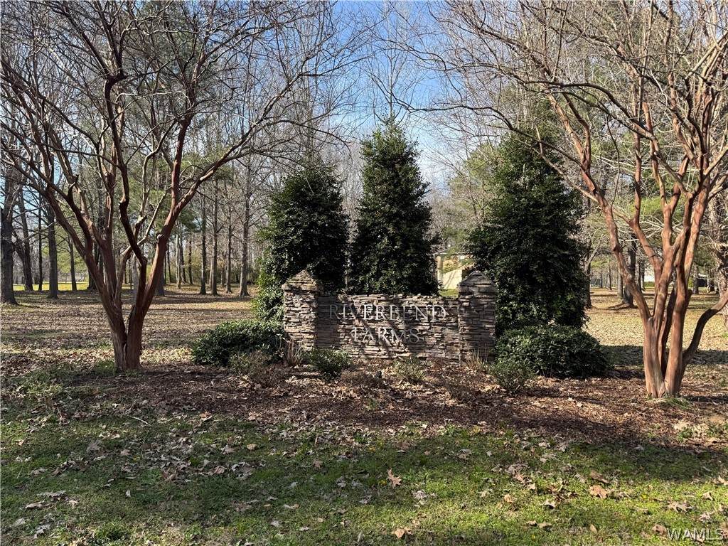 https://bt-photos.global.ssl.fastly.net/tuscaloosa/orig_boomver_1_174528-2.jpg
