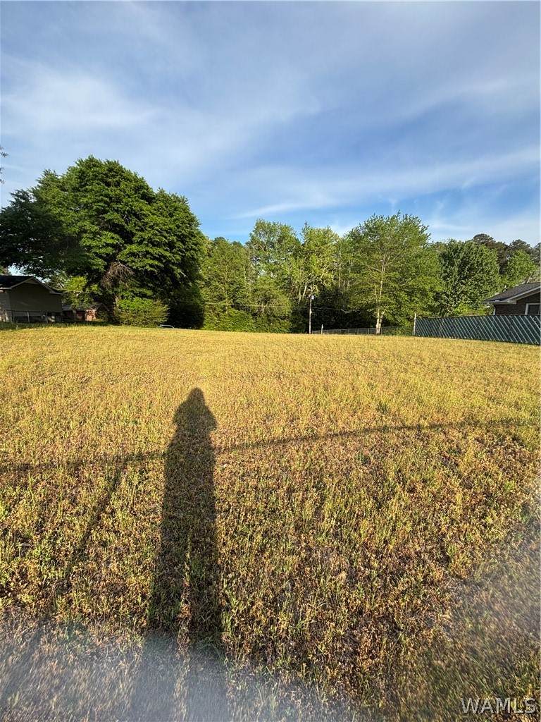 3820 37th Avenue - Photo 1