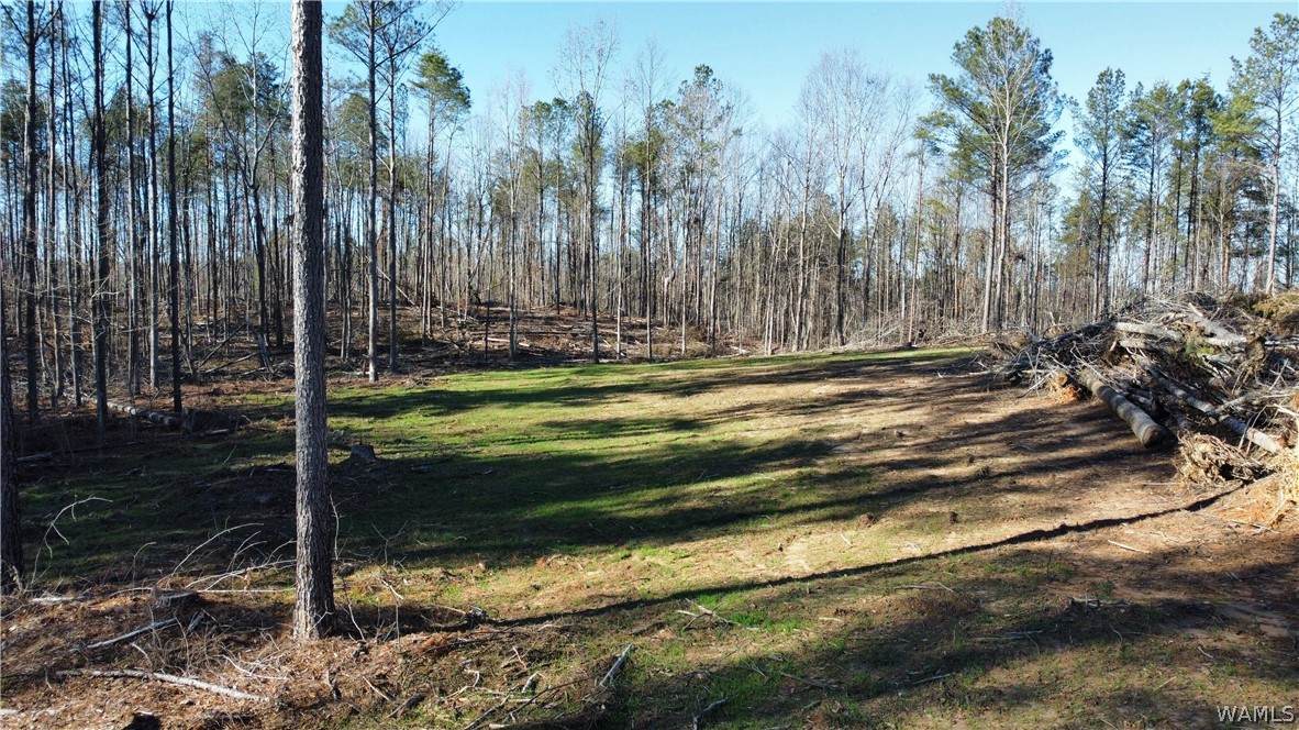 1 County Road 83 - Photo 1