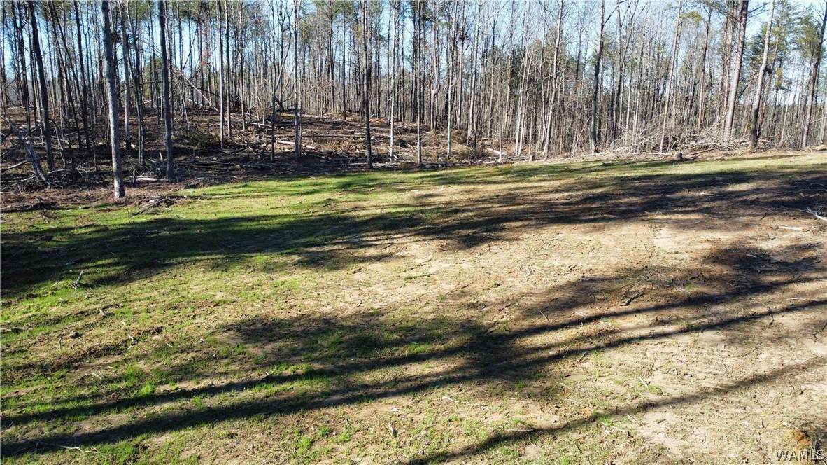 https://bt-photos.global.ssl.fastly.net/tuscaloosa/orig_boomver_1_174544-2.jpg
