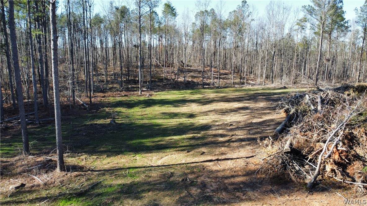 https://bt-photos.global.ssl.fastly.net/tuscaloosa/orig_boomver_1_174544-2.jpg