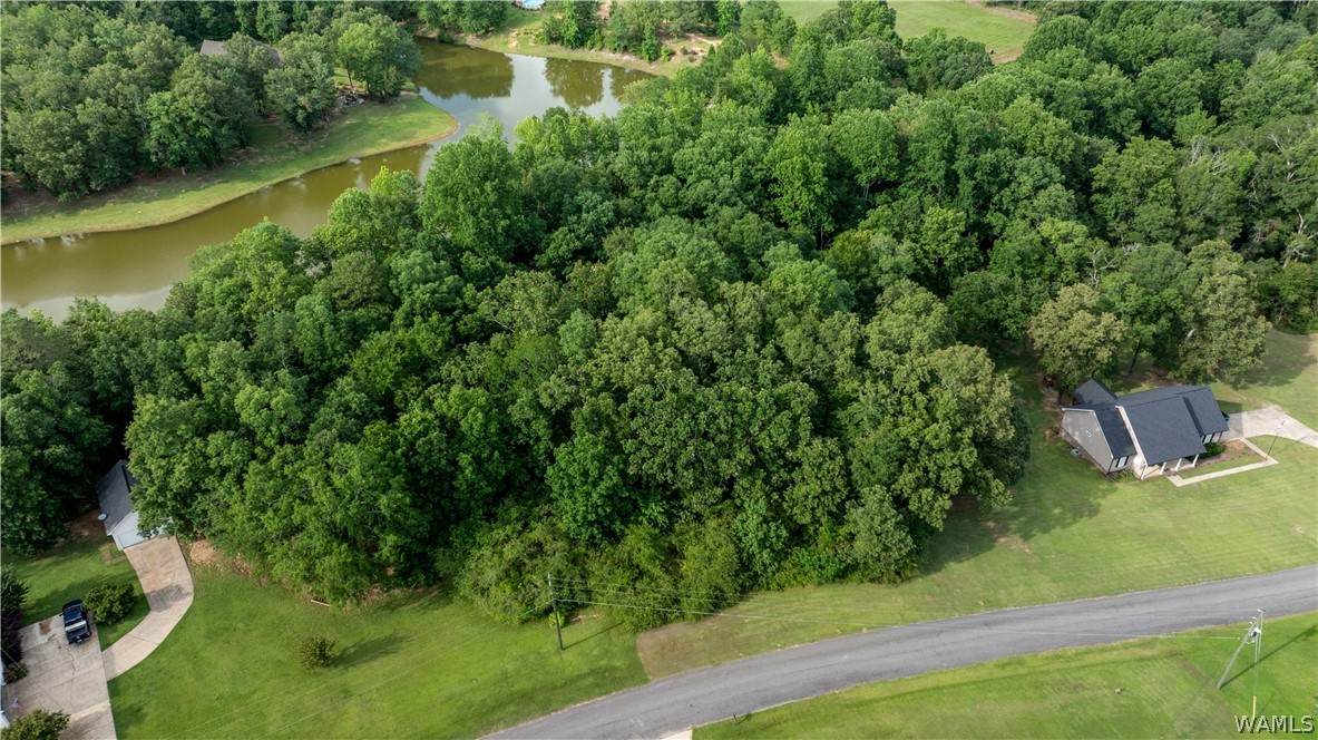https://bt-photos.global.ssl.fastly.net/tuscaloosa/orig_boomver_1_174556-2.jpg