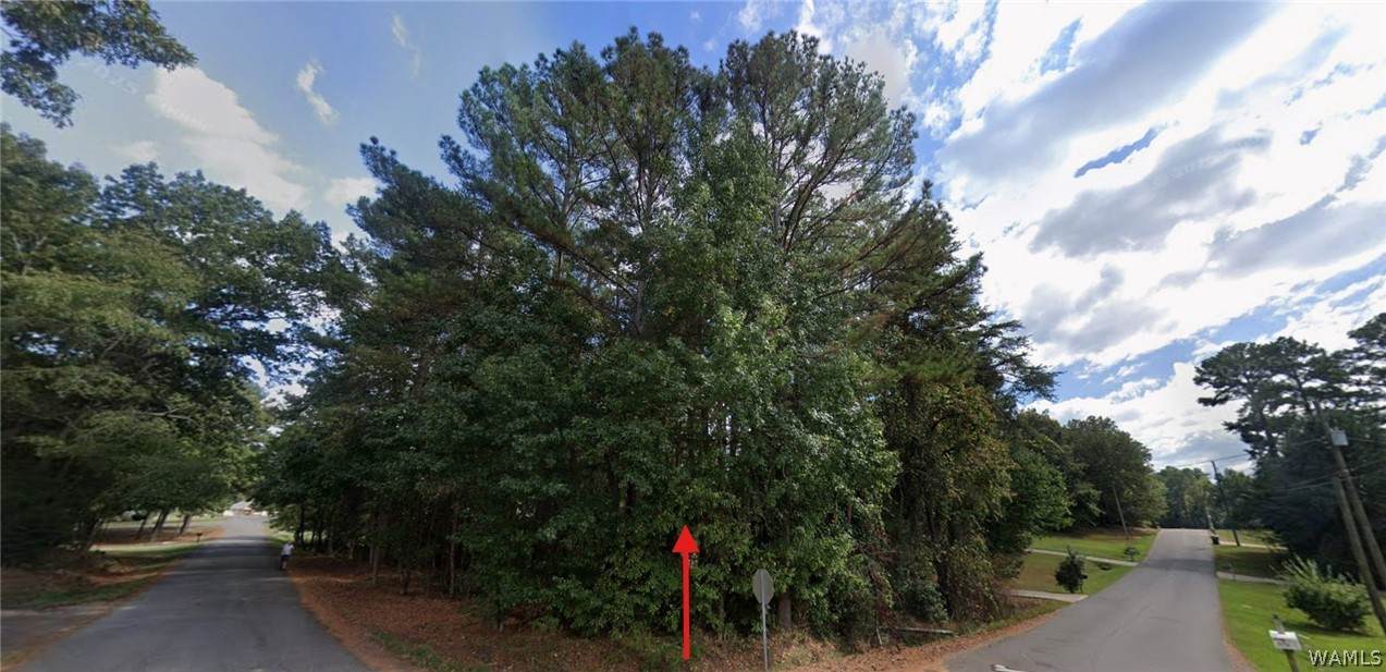 13745 Dianne Drive - Photo 1