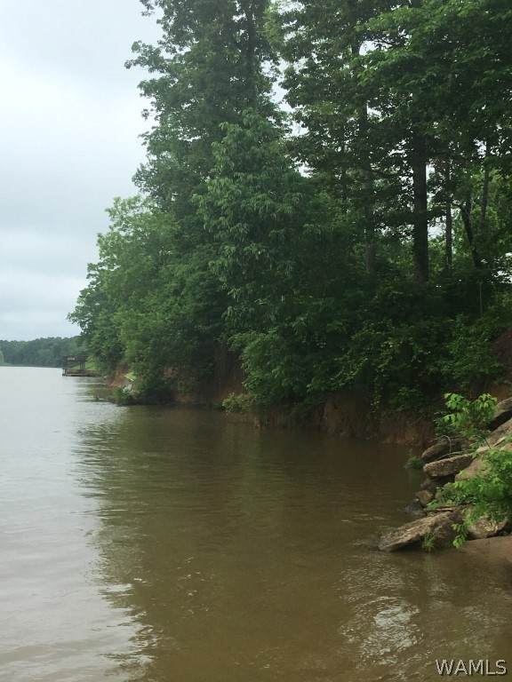 https://bt-photos.global.ssl.fastly.net/tuscaloosa/orig_boomver_1_174592-2.jpg
