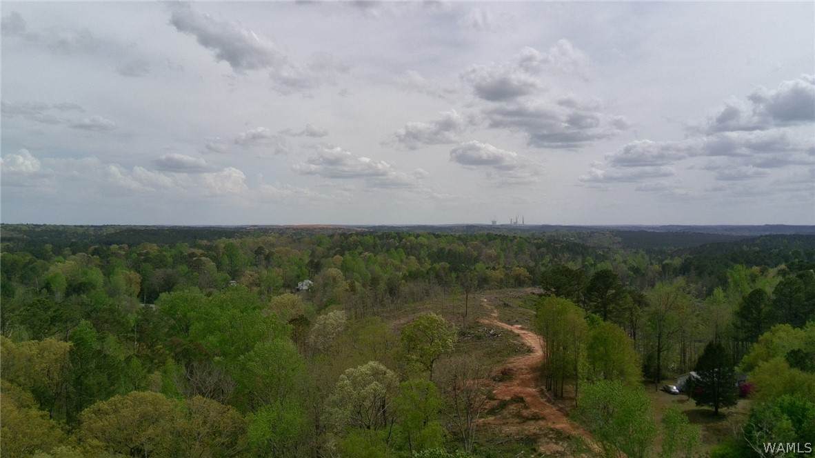 12 Sellers Hollow Road - Photo 1