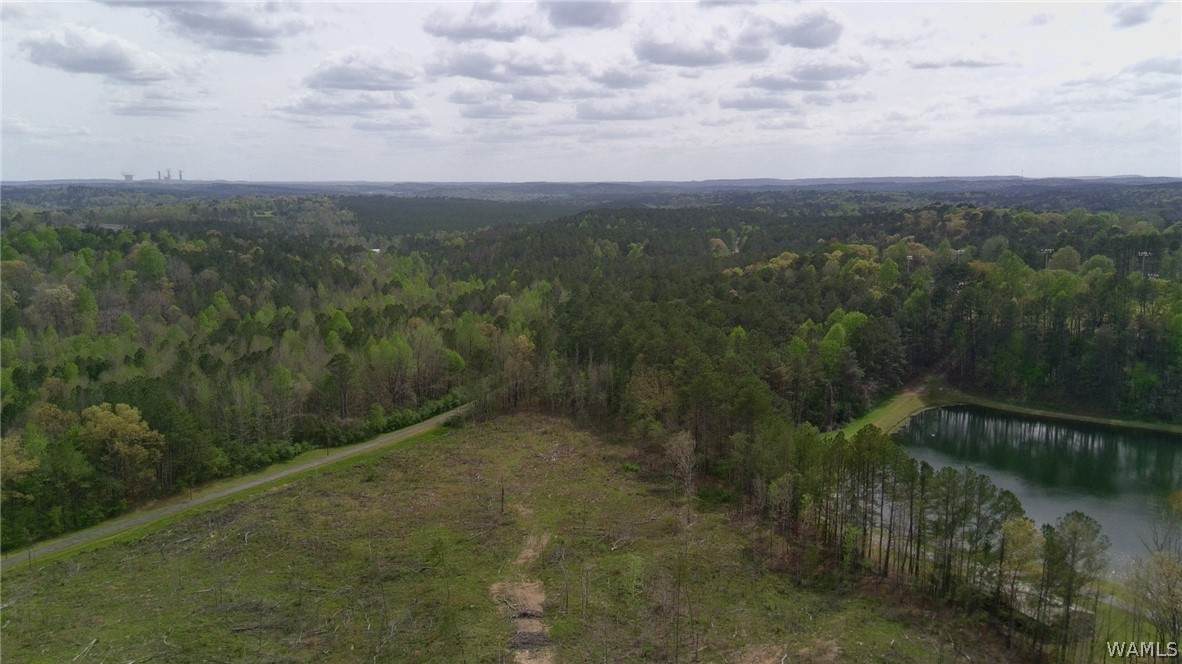https://bt-photos.global.ssl.fastly.net/tuscaloosa/orig_boomver_1_174622-2.jpg
