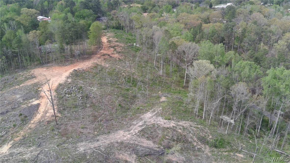 https://bt-photos.global.ssl.fastly.net/tuscaloosa/orig_boomver_1_174622-2.jpg