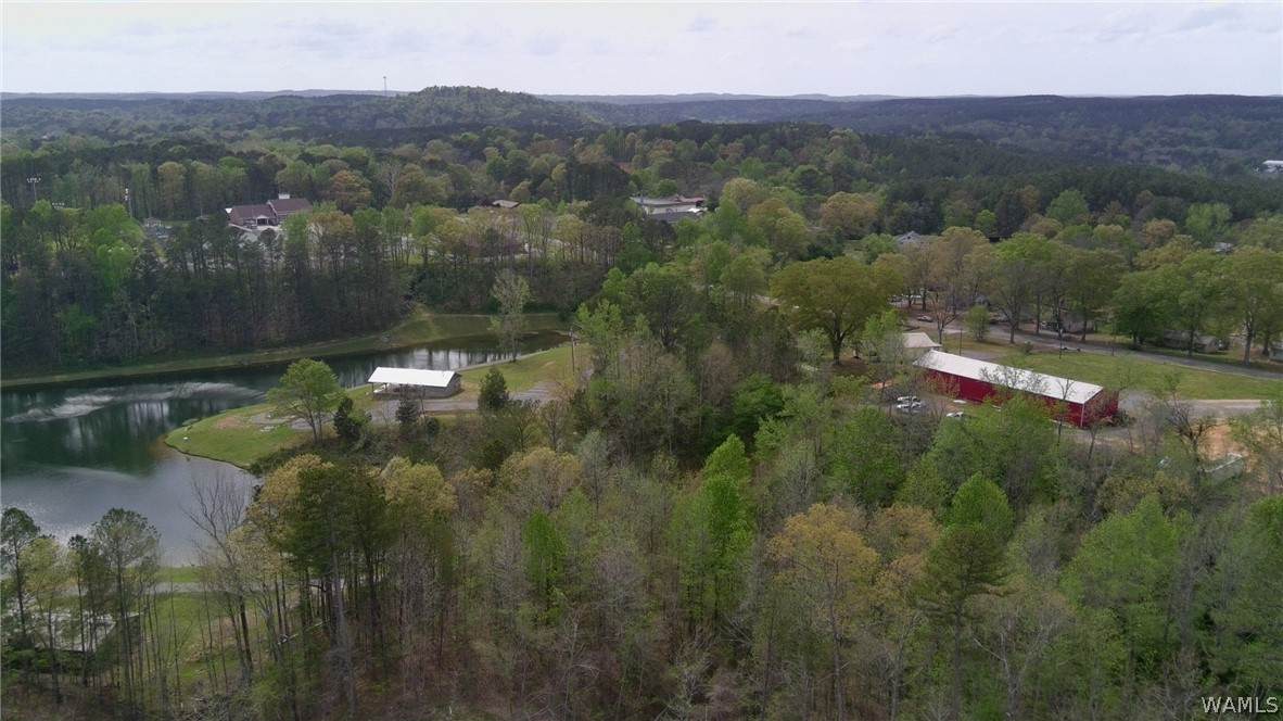 https://bt-photos.global.ssl.fastly.net/tuscaloosa/orig_boomver_1_174622-2.jpg