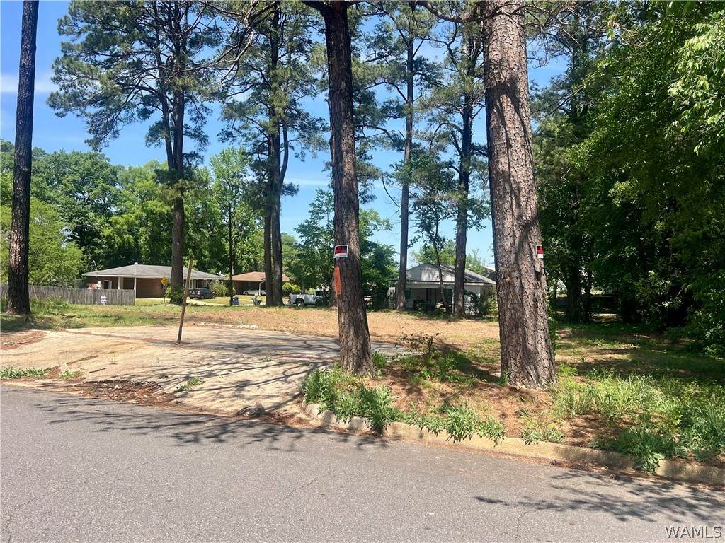 https://bt-photos.global.ssl.fastly.net/tuscaloosa/orig_boomver_1_174737-2.jpg