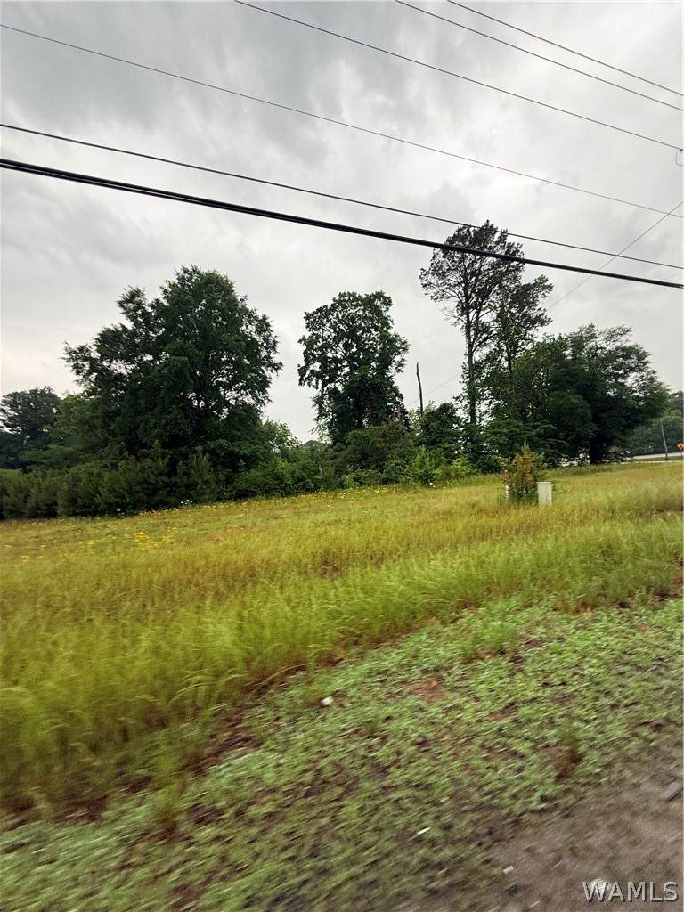 https://bt-photos.global.ssl.fastly.net/tuscaloosa/orig_boomver_1_174752-2.jpg