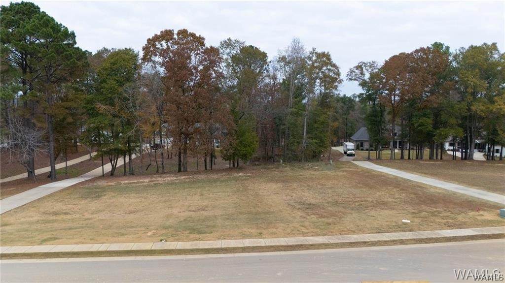 https://bt-photos.global.ssl.fastly.net/tuscaloosa/orig_boomver_1_174753-2.jpg