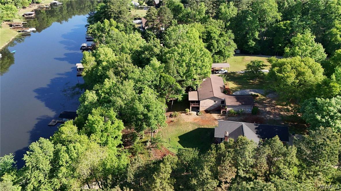 13590 Rejenal Forest Road - Photo 1