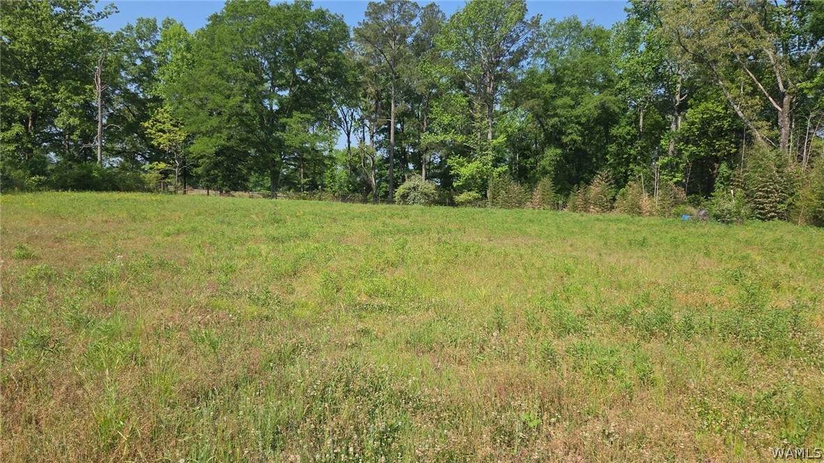 10997 Vance Blocton Road - Photo 1