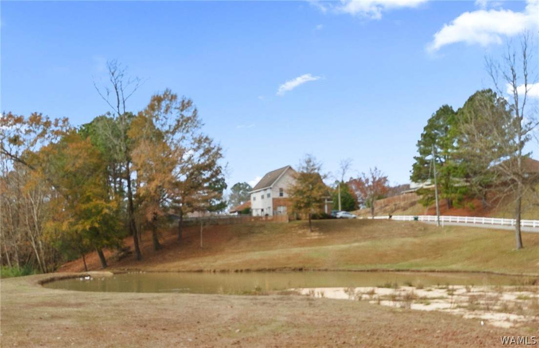 https://bt-photos.global.ssl.fastly.net/tuscaloosa/orig_boomver_1_174819-2.jpg