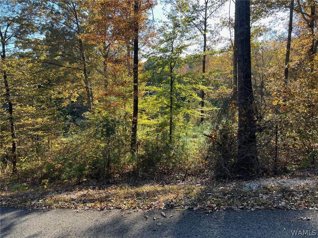 Lot 8 Allison Drive - Photo 1