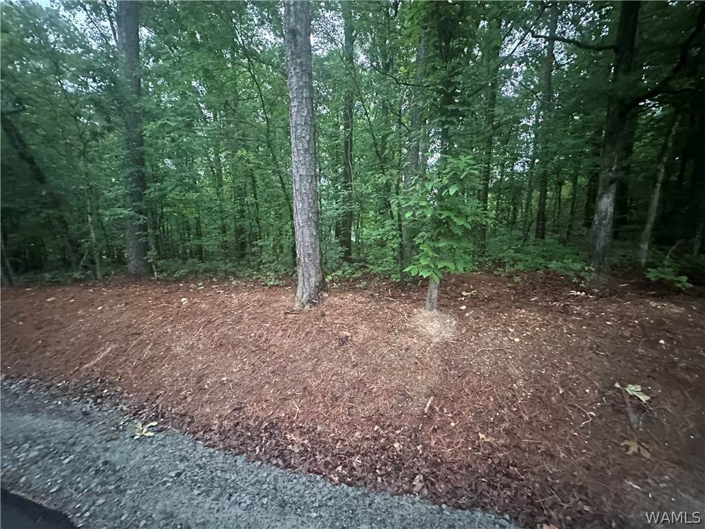 0 Crest Drive - Photo 1