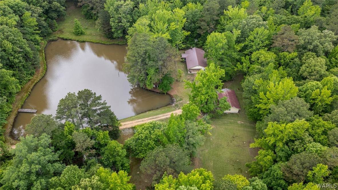 18273 Spring Hill Church Road - Photo 1