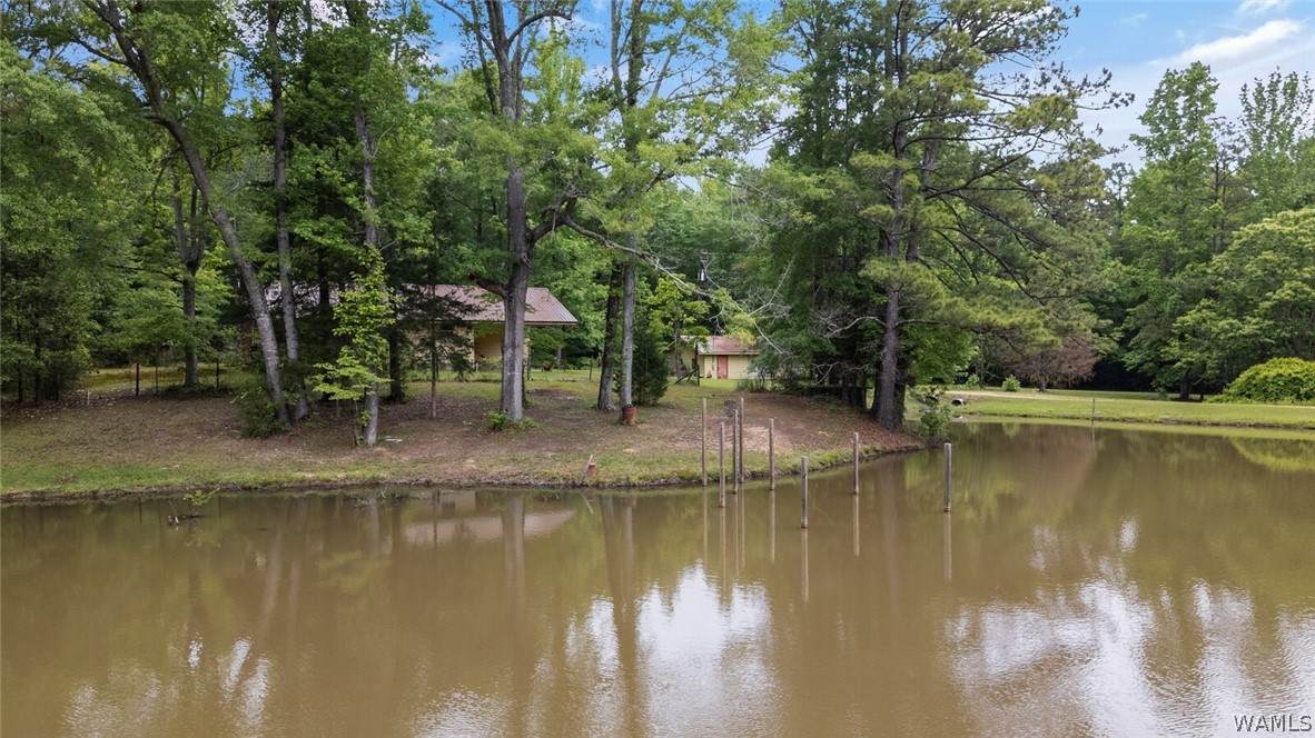 https://bt-photos.global.ssl.fastly.net/tuscaloosa/orig_boomver_1_175114-2.jpg