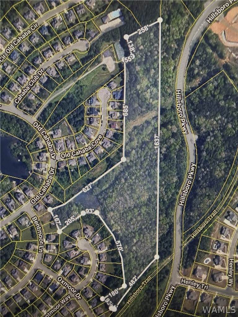 0000 Hillsboro Parkway - Photo 1