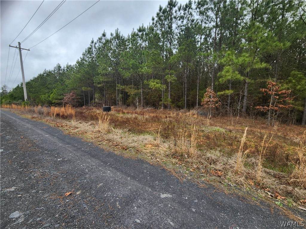 https://bt-photos.global.ssl.fastly.net/tuscaloosa/orig_boomver_1_175146-2.jpg