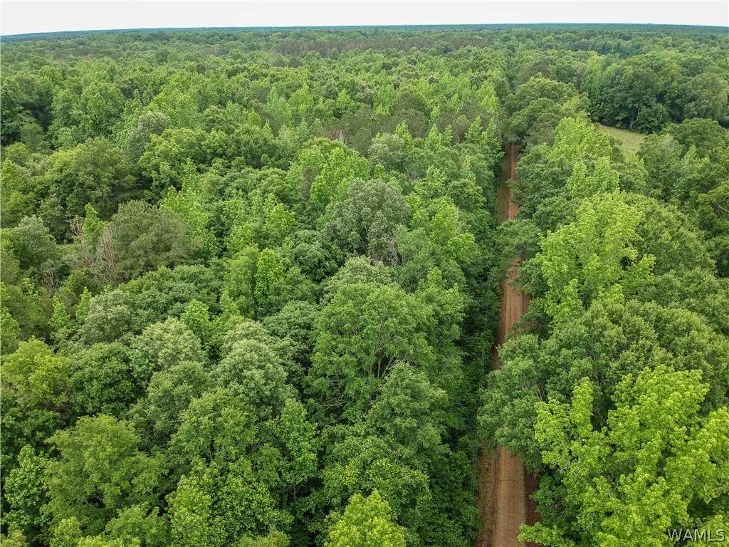 000 Carnation Rd - Photo 1