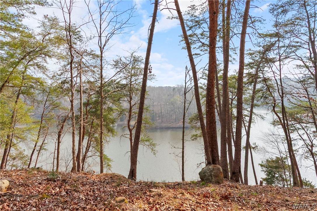 https://bt-photos.global.ssl.fastly.net/tuscaloosa/orig_boomver_1_175176-2.jpg