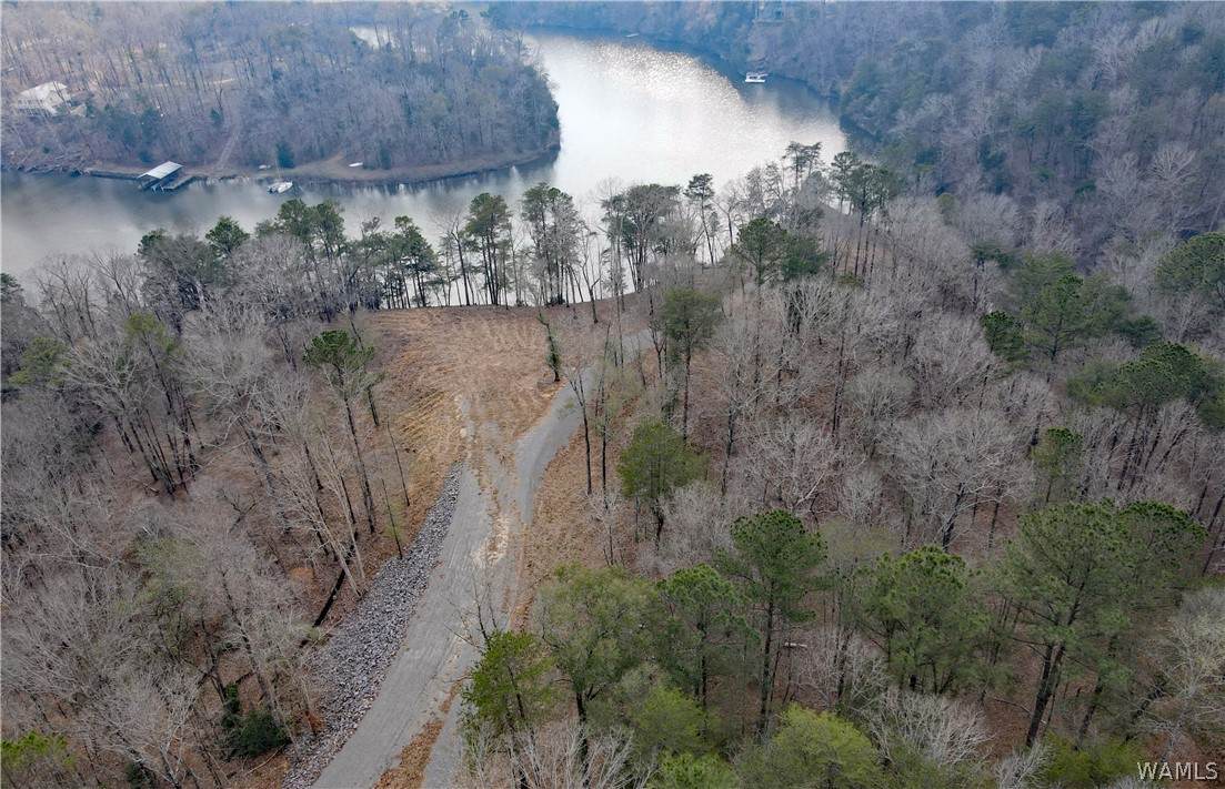 https://bt-photos.global.ssl.fastly.net/tuscaloosa/orig_boomver_1_175176-2.jpg