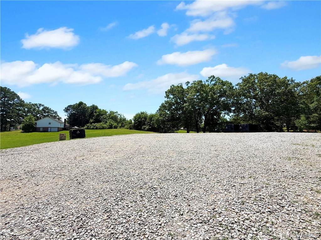 1155 Union Chapel Road - Photo 1
