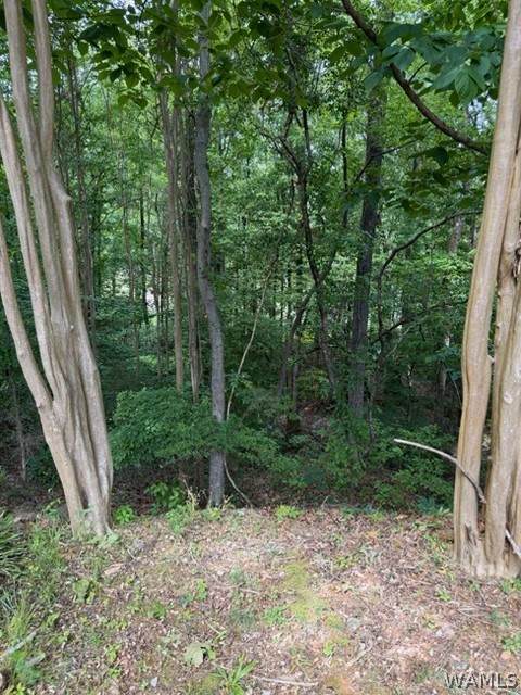 https://bt-photos.global.ssl.fastly.net/tuscaloosa/orig_boomver_1_175288-2.jpg