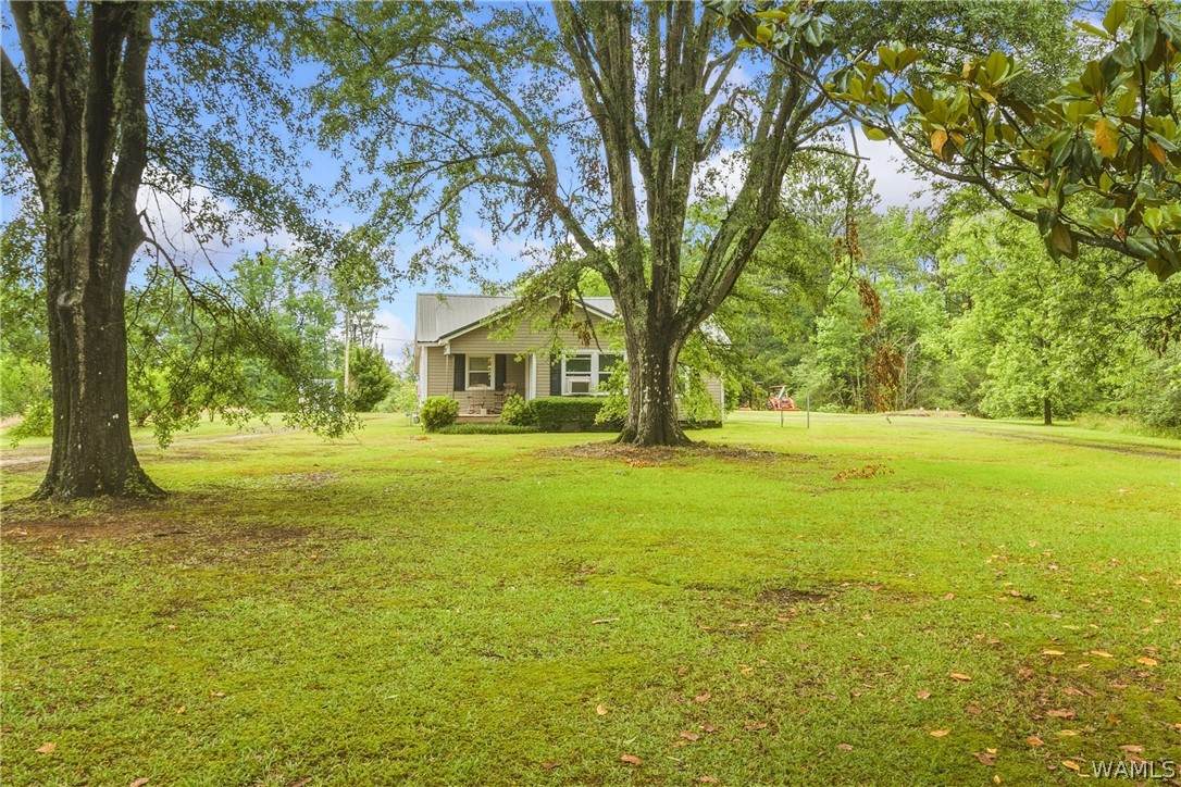 https://bt-photos.global.ssl.fastly.net/tuscaloosa/orig_boomver_1_175349-2.jpg