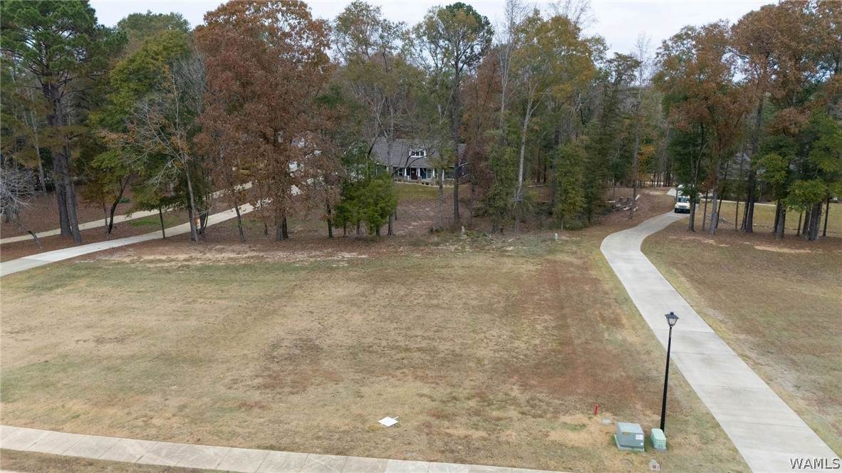 https://bt-photos.global.ssl.fastly.net/tuscaloosa/orig_boomver_1_175358-2.jpg