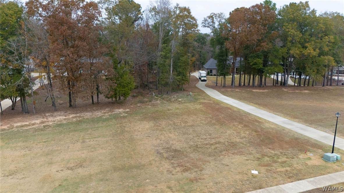 https://bt-photos.global.ssl.fastly.net/tuscaloosa/orig_boomver_1_175358-2.jpg