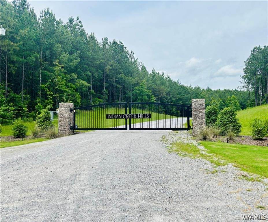 LOT 1 Indian Creek Road - Photo 1