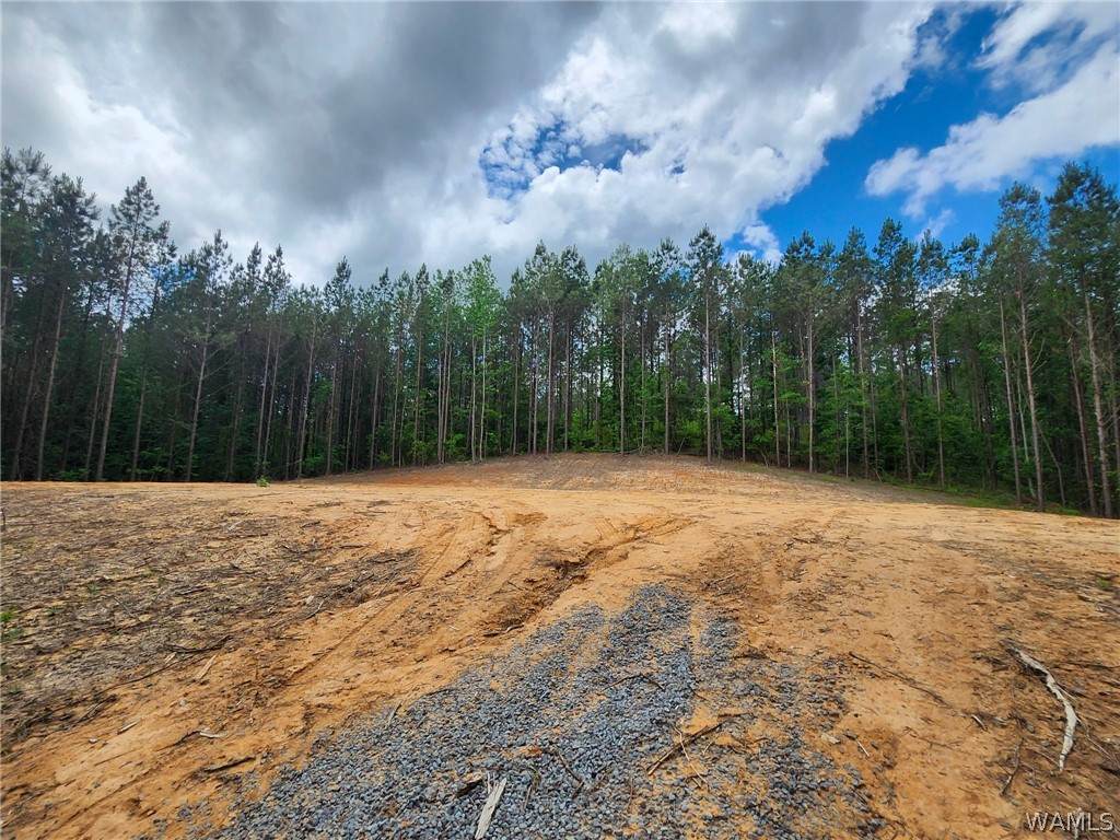 https://bt-photos.global.ssl.fastly.net/tuscaloosa/orig_boomver_2_175366-2.jpg