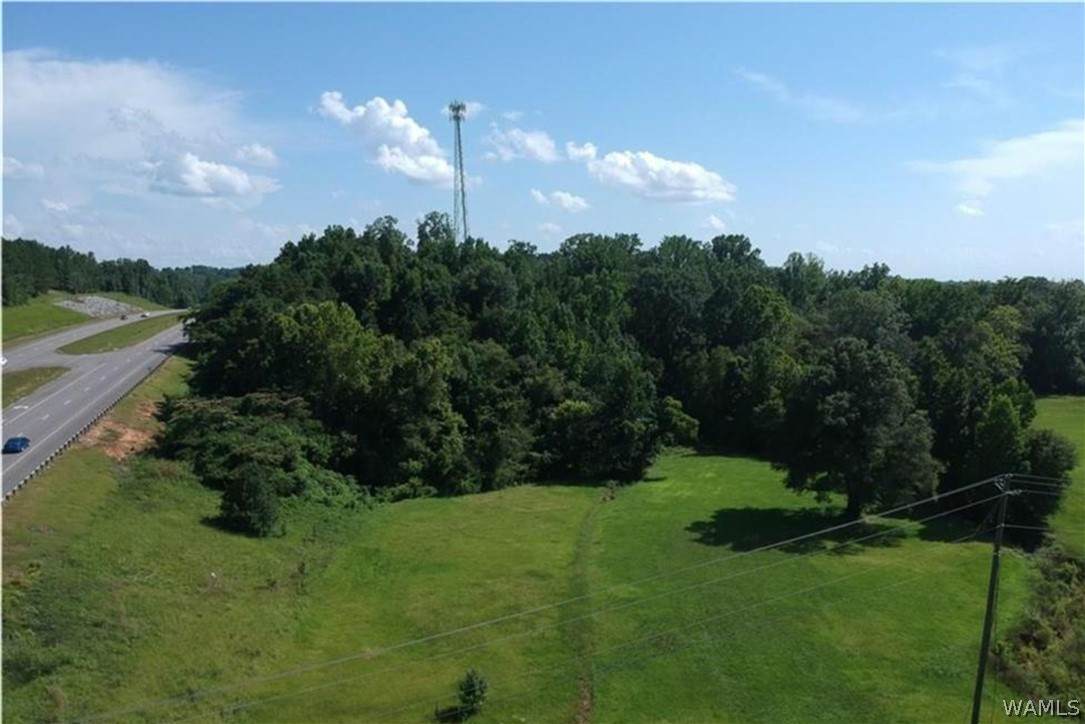 11771 Highway 69 S - Photo 1