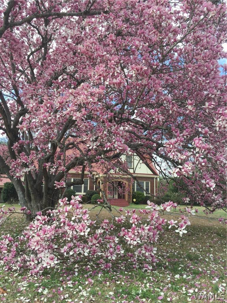 https://bt-photos.global.ssl.fastly.net/tuscaloosa/orig_boomver_1_175521-2.jpg